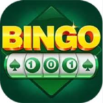 Bingo 101